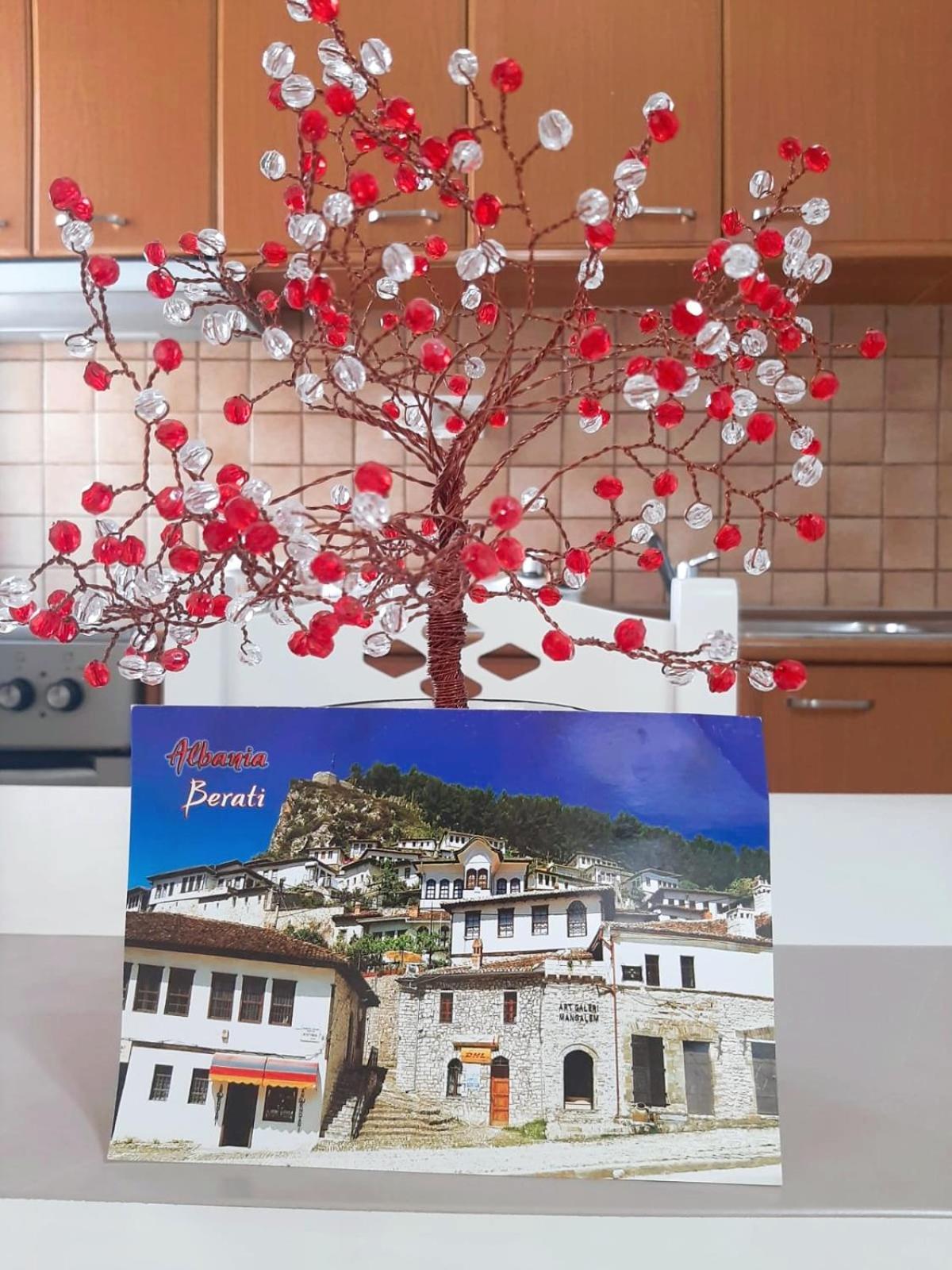 Vangert Apartment Berat Bagian luar foto